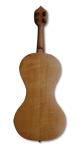 Back of Rakić Alto violin