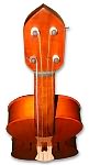 Renaissance violin Rakić, top