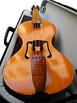 Renaissance violin Rakić in case