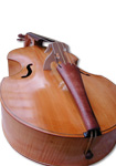 Front of Rakić Tenor violin